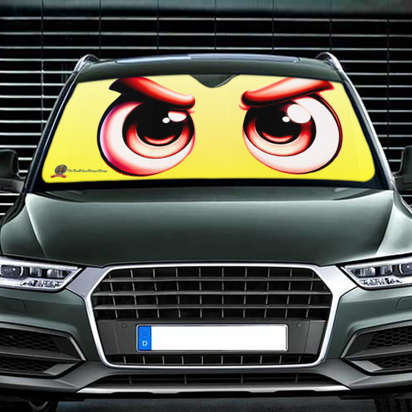 REGARD "DÉTERMINÉ" POUR VOTRE VOITURE