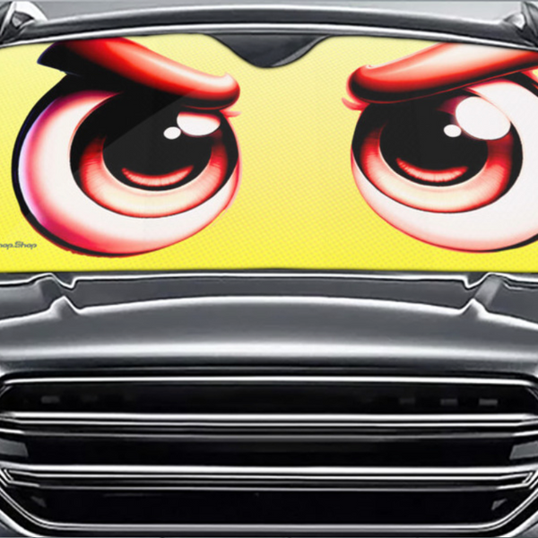 REGARD "DÉTERMINÉ" POUR VOTRE VOITURE