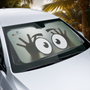 "LOUFOQUE" POUR VOTRE VOITURE