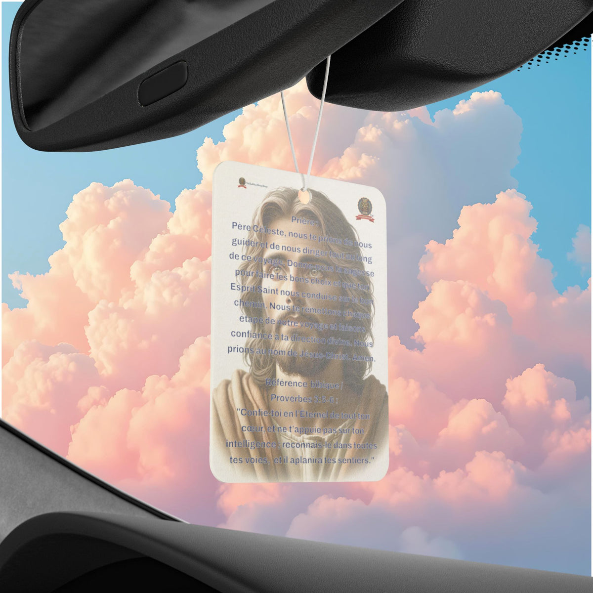🇫🇷 Multi-purpose air freshener