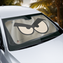 "THE LOOK THAT SAYS NO TO THE SUN" FOR YOUR CAR