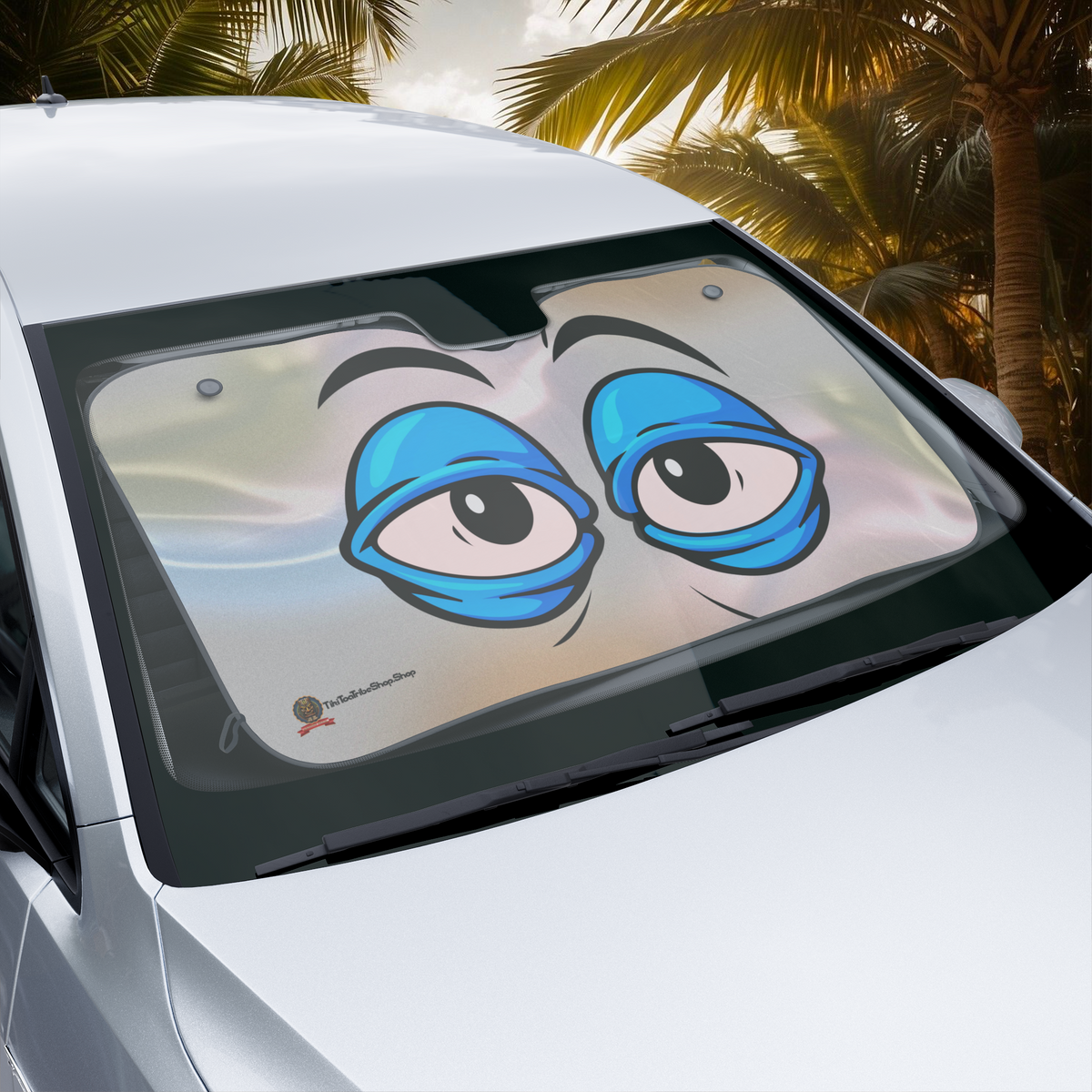 "SLEEPY LOOK" FOR YOUR CAR