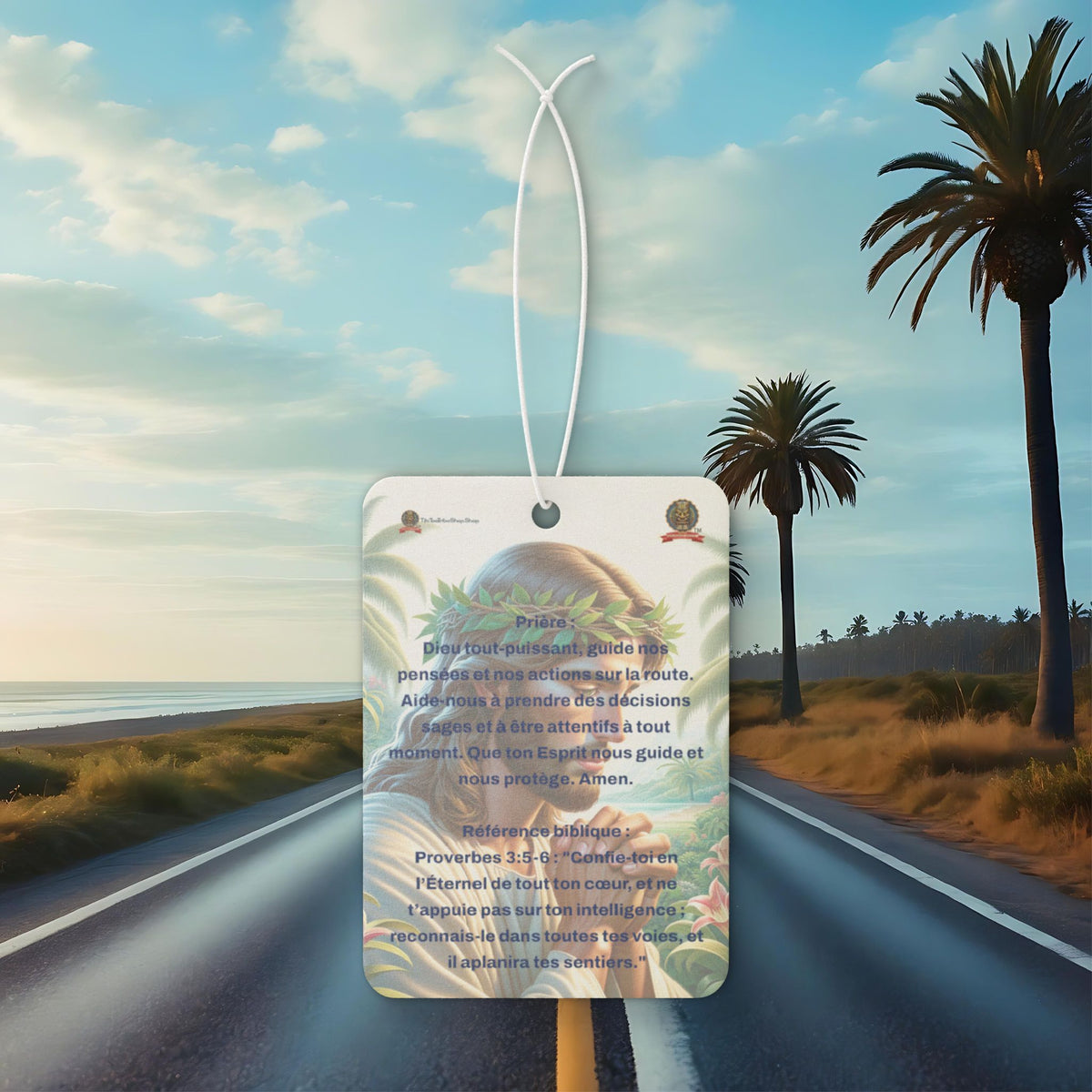 🇫🇷 Multi-purpose air freshener
