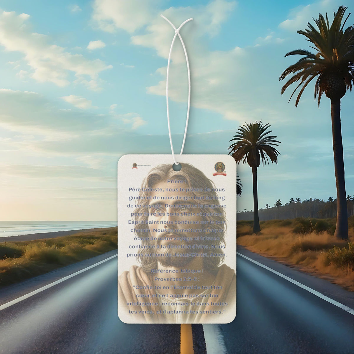 🇫🇷 Multi-purpose air freshener