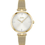 HUGO BOSS Women's Watch with White Dial and Gold Case - Chic, Refined and Luminous