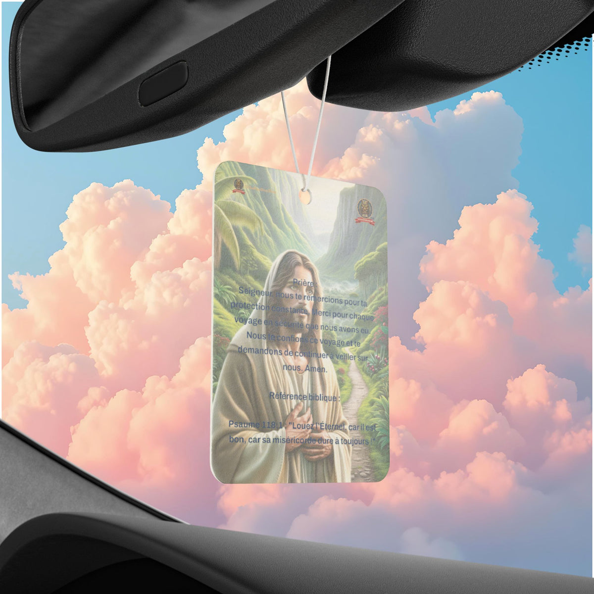 🇫🇷 Multi-purpose air freshener