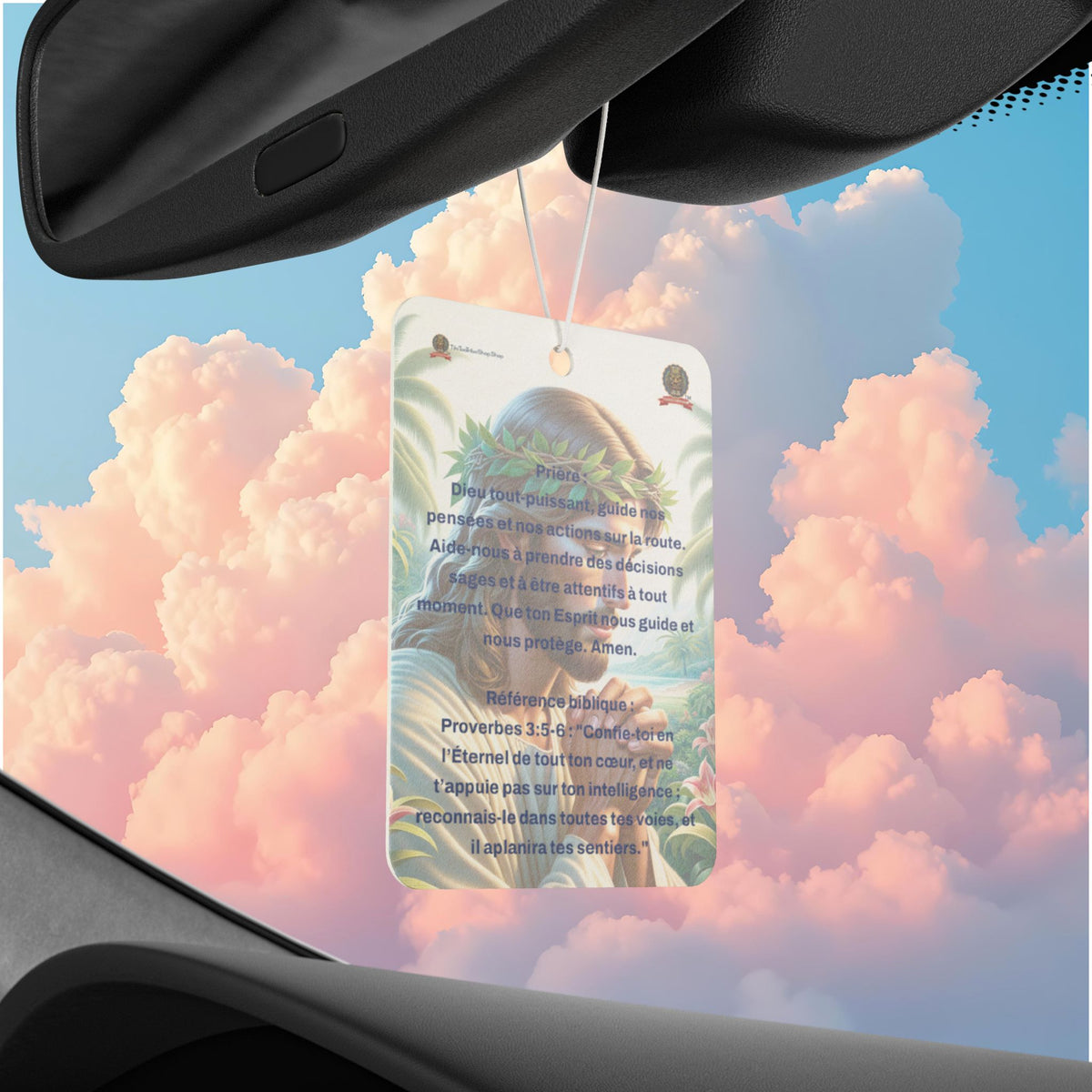🇫🇷 Multi-purpose air freshener