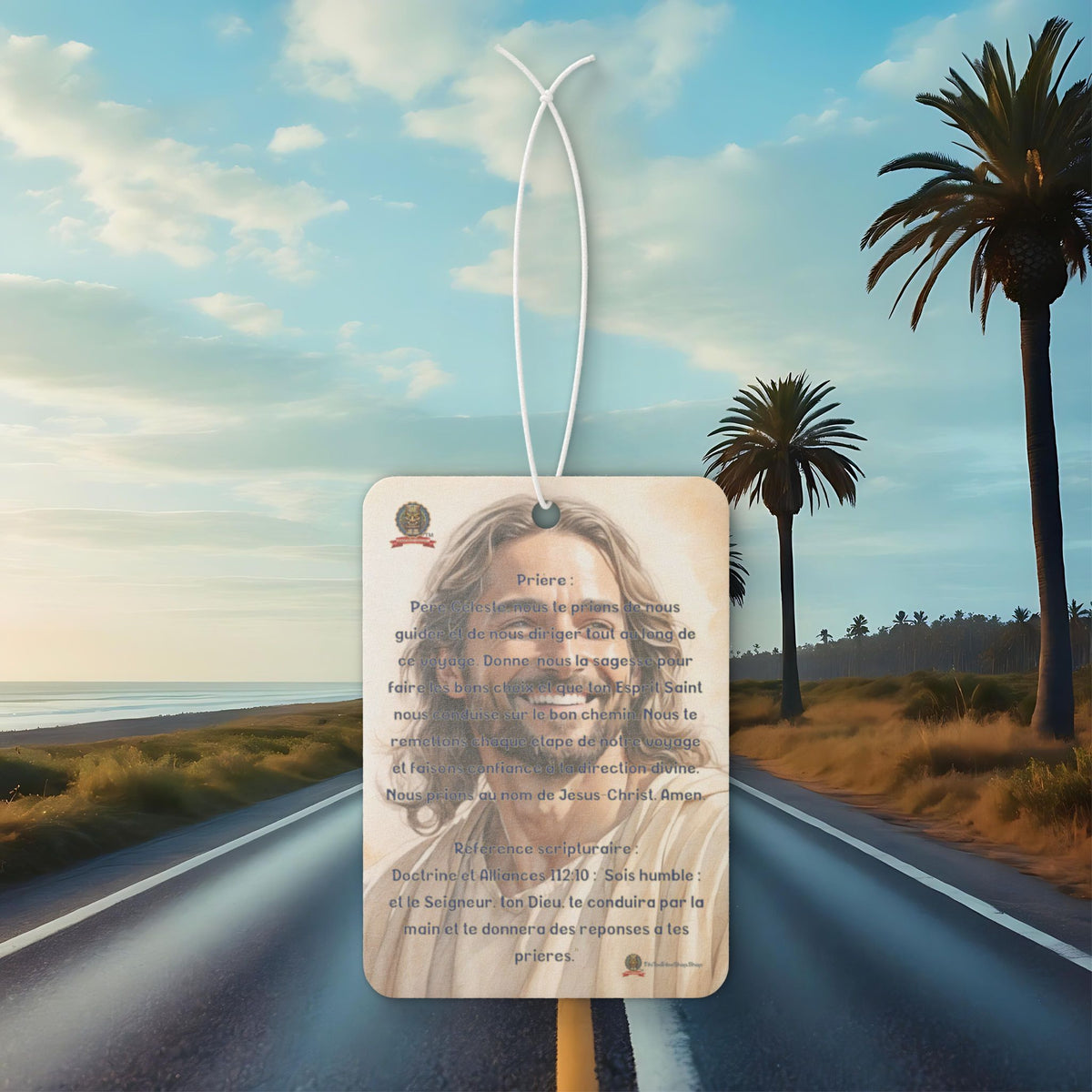 🇫🇷 Multi-purpose air freshener