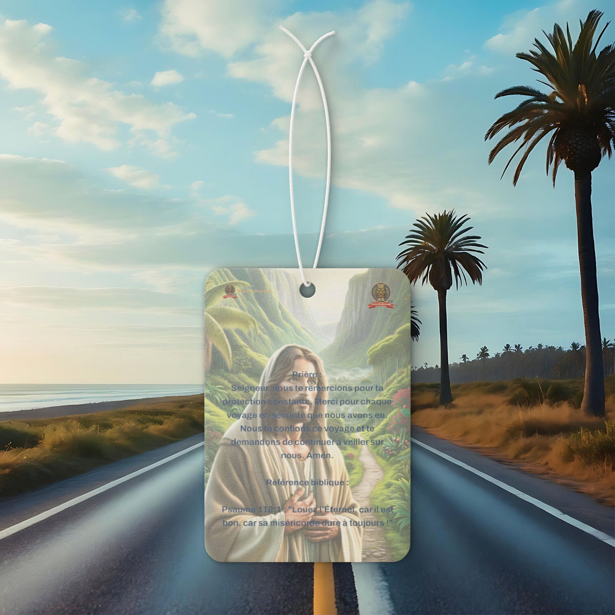 🇫🇷 Multi-purpose air freshener